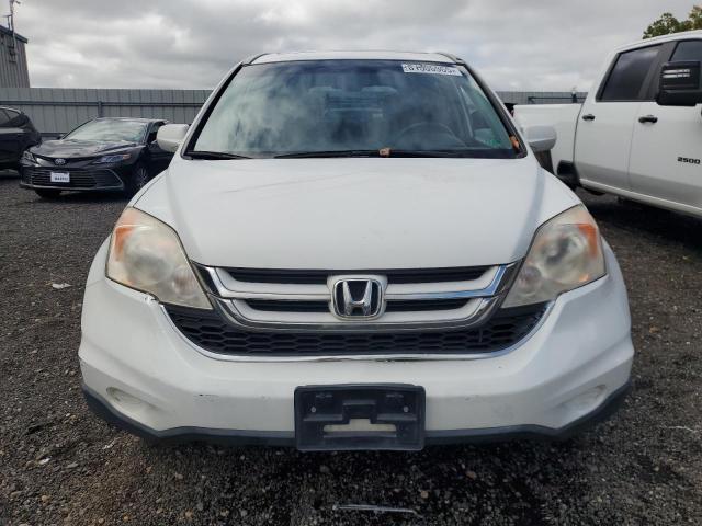 JHLRE4H75BC028026 - 2011 HONDA CR-V EXL Ақ фото 5