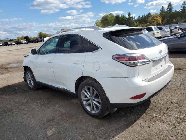2T2BK1BA4FC342415 - 2015 LEXUS RX 350 BASE WHITE photo 2