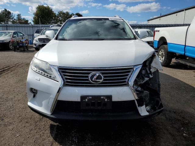 2T2BK1BA4FC342415 - 2015 LEXUS RX 350 BASE WHITE photo 5