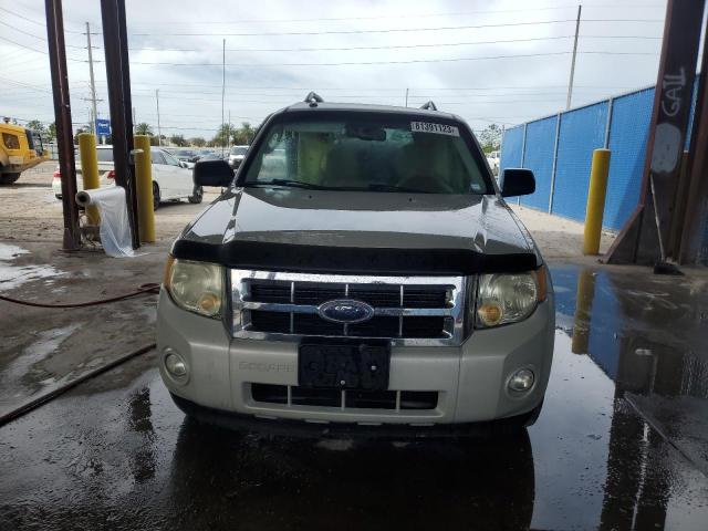 1FMCU03769KA57293 - 2009 FORD ESCAPE XLT BEIGE photo 5