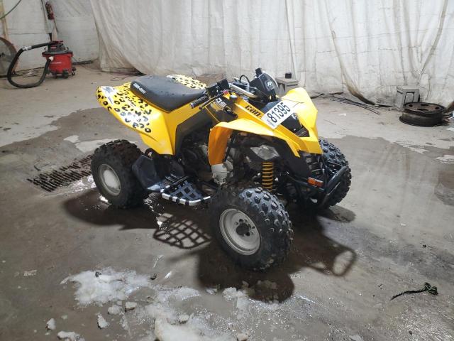 RFGUB2518ES019767 - 2014 CAN-AM DS 250 YELLOW photo 1