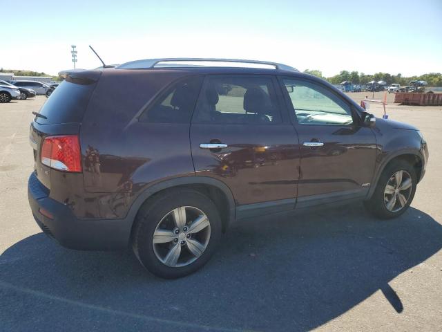 5XYKUDA22DG392130 - 2013 KIA SORENTO EX მუქწითელი ფოტო 3