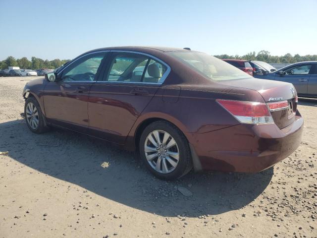 1HGCP2F84CA201157 - 2012 HONDA ACCORD EXL ბურგუნდია ფოტო 2