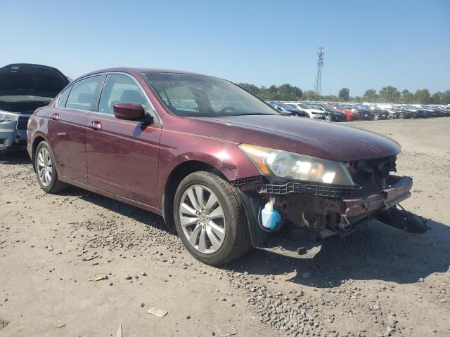 1HGCP2F84CA201157 - 2012 HONDA ACCORD EXL ბურგუნდია ფოტო 4