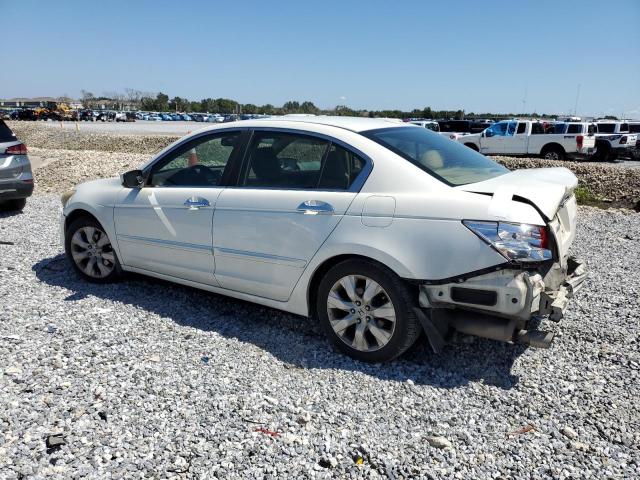 1HGCP36838A036909 - 2008 HONDA ACCORD EXL WHITE photo 2
