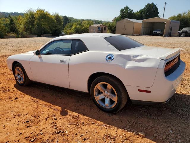 2B3CJ5DT6AH191174 - 2010 DODGE CHALLENGER R/T WHITE photo 2