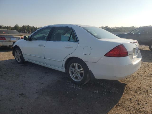 1HGCM55306A164628 - 2006 HONDA ACCORD SE Ağ foto 2