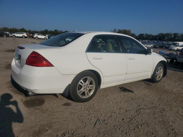 1HGCM55306A164628 - 2006 HONDA ACCORD SE Ağ foto 3