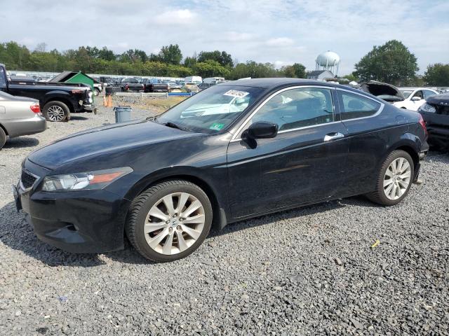 2010 HONDA ACCORD EXL, 