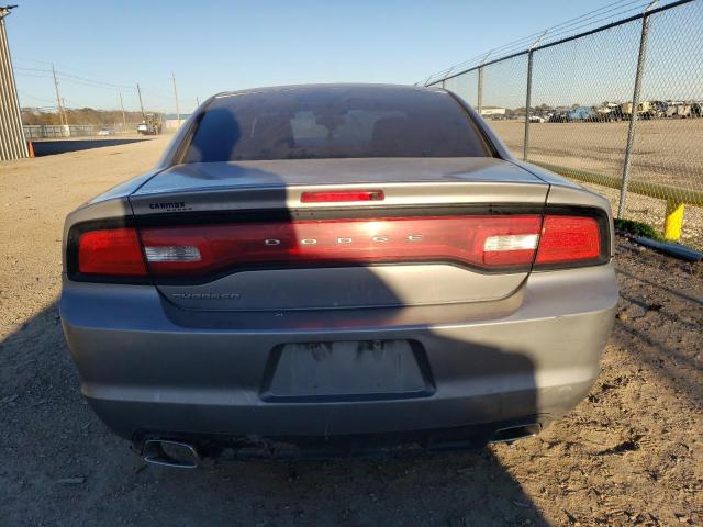 2C3CDXBG4EH356480 - 2014 DODGE CHARGER SE GRAY photo 6