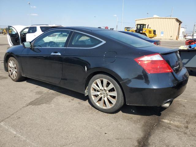 1HGCS2A80AA007969 - 2010 HONDA ACCORD EXL 黑色 照片 2
