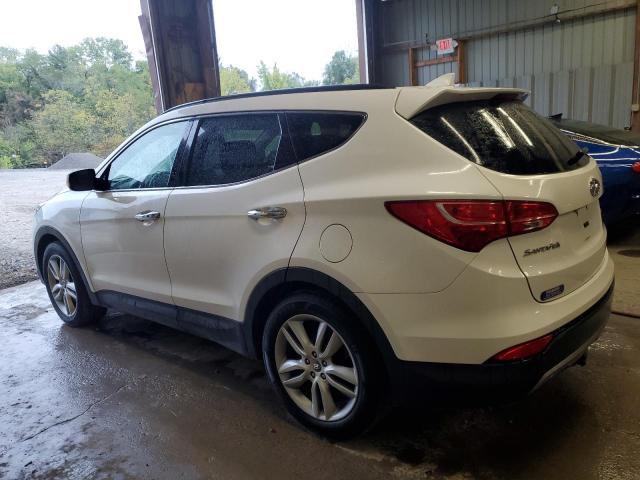5XYZUDLA3EG214831 - 2014 HYUNDAI SANTA FE SPORT WHITE photo 2
