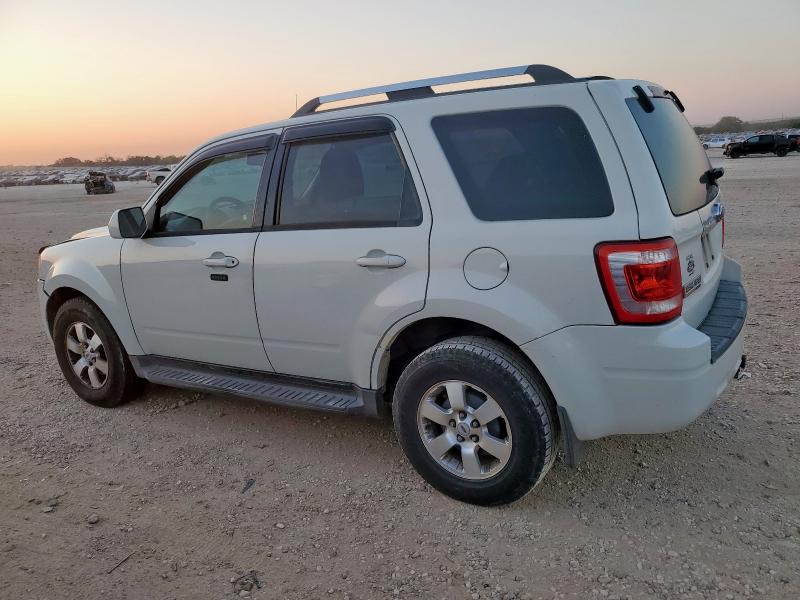 1FMCU04G69KD01541 - 2009 FORD ESCAPE LIMITED 白色 照片 2