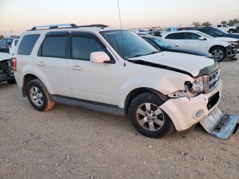 1FMCU04G69KD01541 - 2009 FORD ESCAPE LIMITED 白色 照片 4