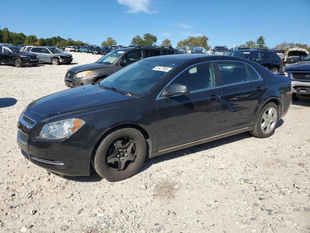 2010 CHEVROLET MALIBU 1LT, 