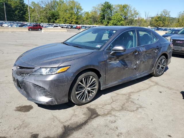 2019 TOYOTA CAMRY L, 