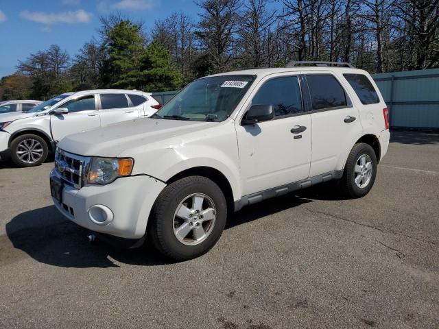 2009 FORD ESCAPE XLT, 