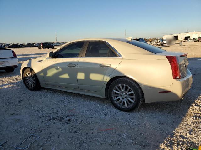 1G6DA5EGXA0108289 - 2010 CADILLAC CTS CREAM photo 2