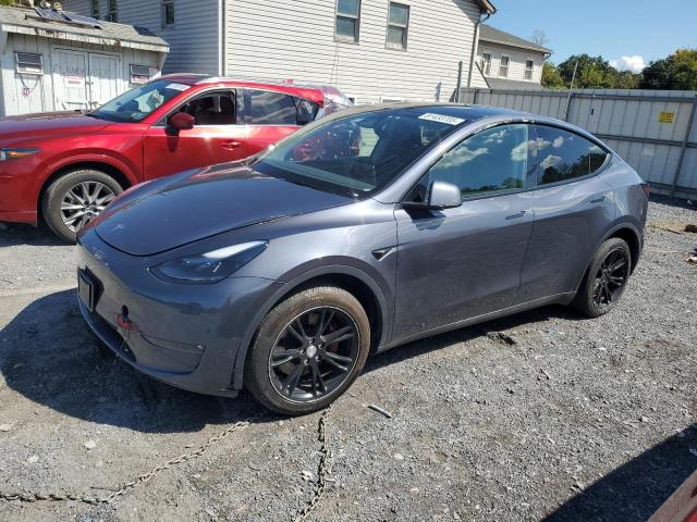 2023 TESLA MODEL Y, 