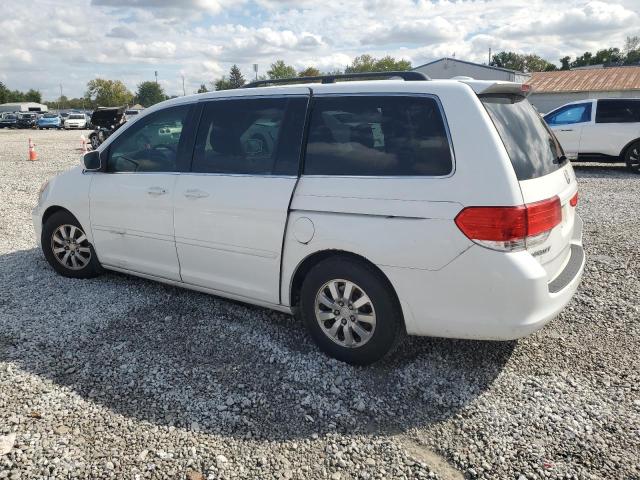 5FNRL38649B411473 - 2009 HONDA ODYSSEY EXL WHITE photo 2