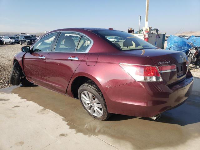 1HGCP3F87BA028657 - 2011 HONDA ACCORD EXL BURGUNDY photo 2