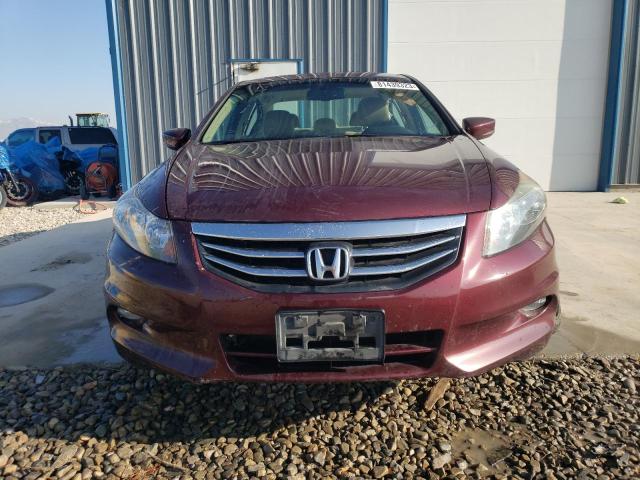 1HGCP3F87BA028657 - 2011 HONDA ACCORD EXL BURGUNDY photo 5