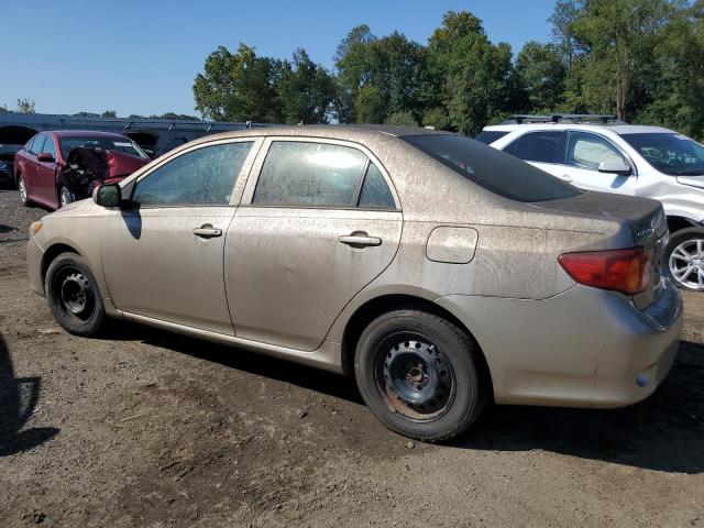 2T1BU4EE8AC293422 - 2010 TOYOTA COROLLA BASE Qızıl foto 2