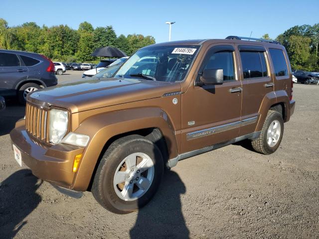 2011 JEP LIBERTY SPORT, 