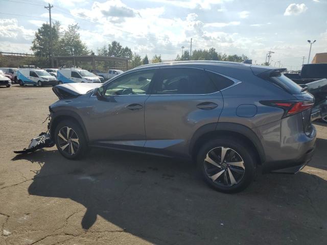 JTJGARDZ3M2263325 - 2021 LEXUS NX 300 BASE GRAY photo 2