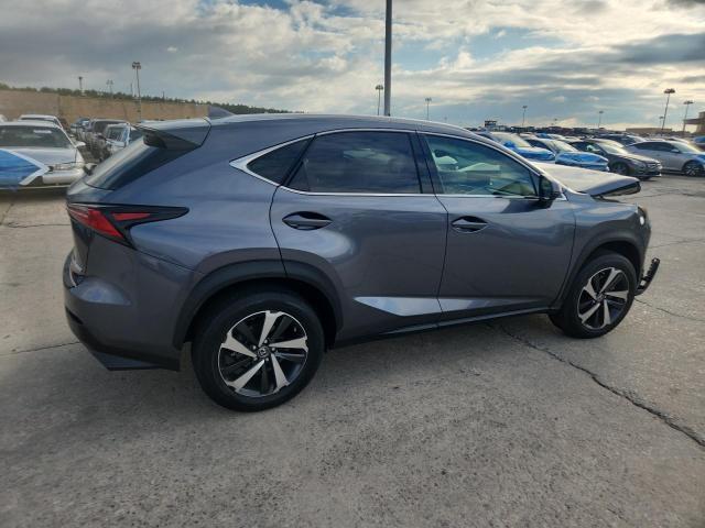 JTJGARDZ3M2263325 - 2021 LEXUS NX 300 BASE GRAY photo 3