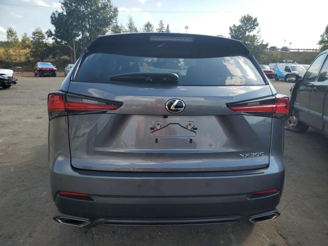 JTJGARDZ3M2263325 - 2021 LEXUS NX 300 BASE GRAY photo 6