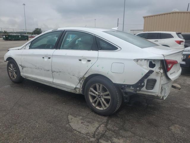 5NPE24AF0GH356598 - 2016 HYUNDAI SONATA SE 白色 照片 2