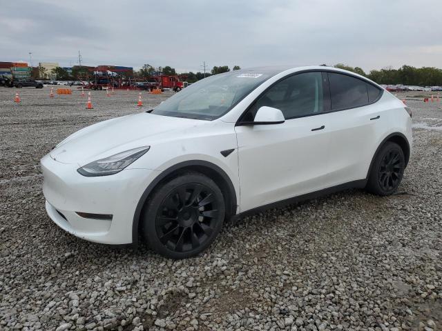 2021 TESLA MODEL Y, 