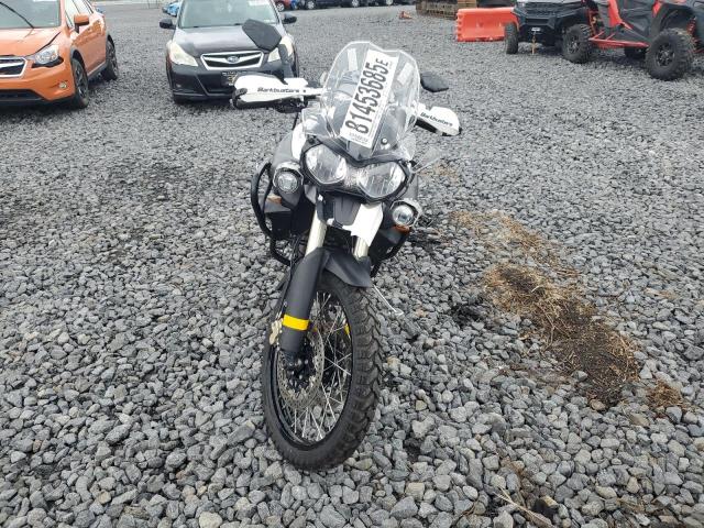 SMTE06BFXDJ561124 - 2013 TRIUMPH MOTORCYCLE TIGER 800XC ABS WHITE photo 2