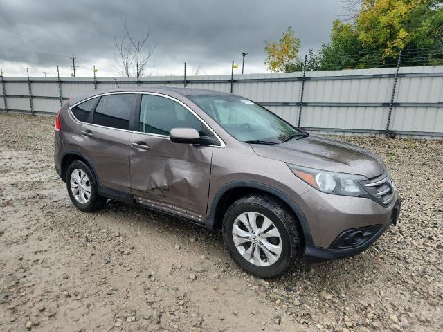 5J6RM4H54EL000750 - 2014 HONDA CR-V EX BROWN photo 4