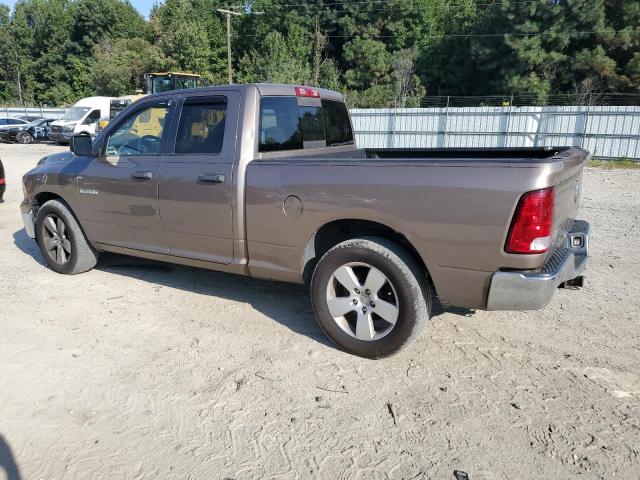 1D3HB18P69S731464 - 2009 DODGE RAM 1500 Brun photo 2