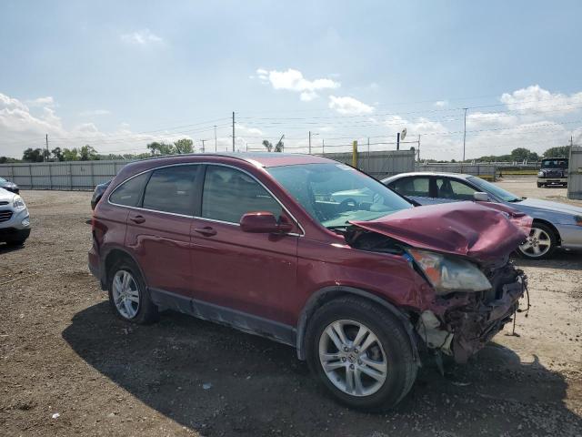 5J6RE4H71AL020351 - 2010 HONDA CR-V EXL 红色 照片 4