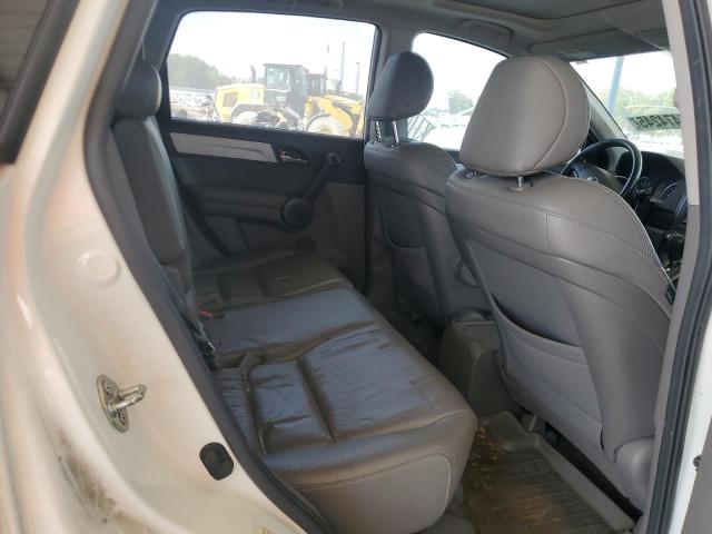 JHLRE3H73AC006096 - 2010 HONDA CR-V EXL WHITE photo 10
