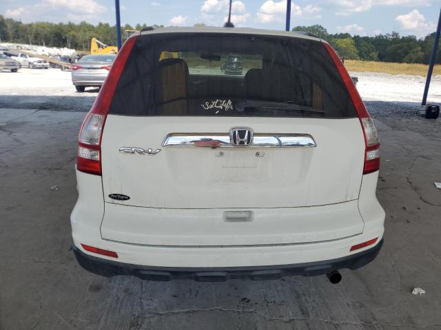 JHLRE3H73AC006096 - 2010 HONDA CR-V EXL WHITE photo 6