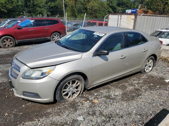 2013 CHEVROLET MALIBU LS, 