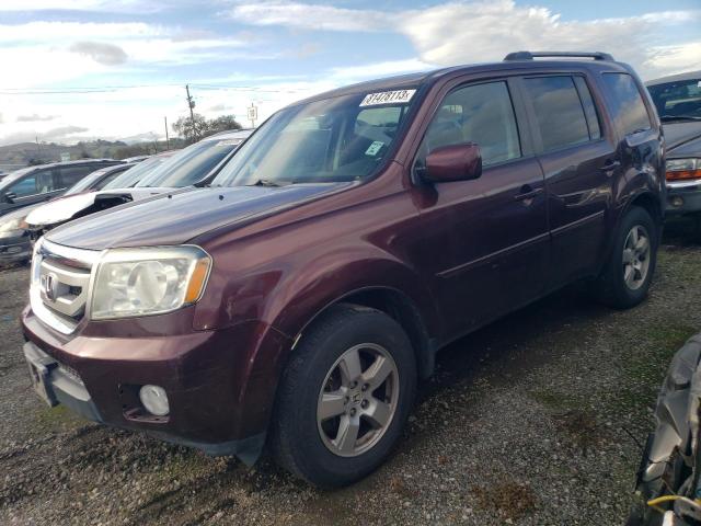 5FNYF3H57BB051907 - 2011 HONDA PILOT EXL BURGUNDY photo 1