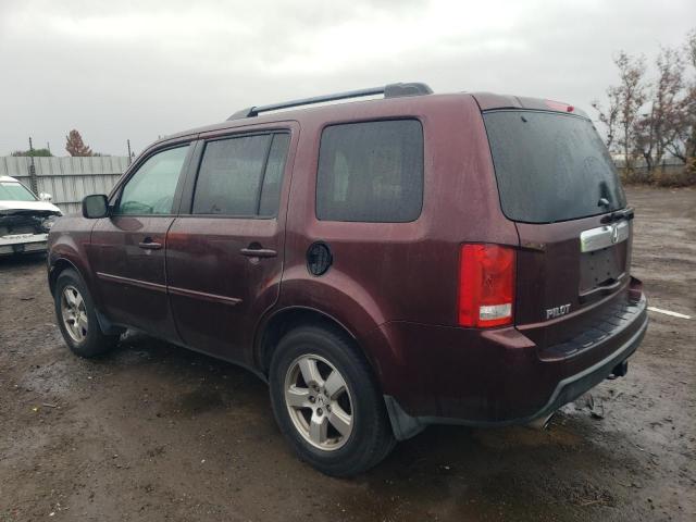 5FNYF3H57BB051907 - 2011 HONDA PILOT EXL BURGUNDY photo 2