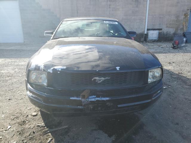 1ZVFT80N055121288 - 2005 FORD MUSTANG BLACK photo 5