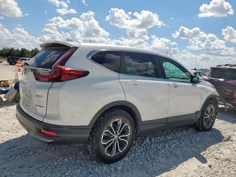 7FART6H53LE004121 - 2020 HONDA CR-V EX WHITE photo 3