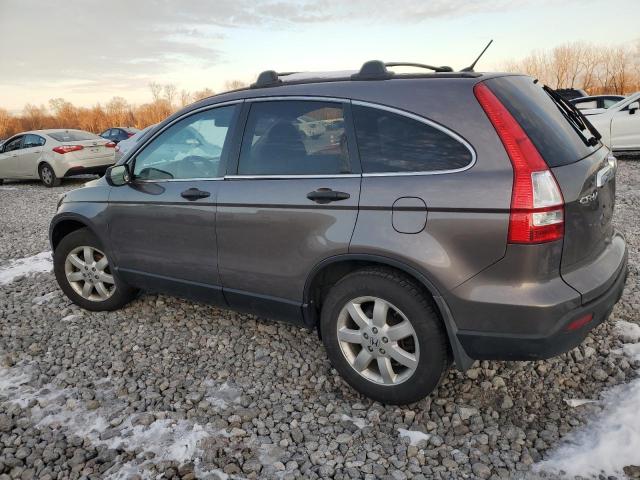 3CZRE48599G703387 - 2009 HONDA CR-V EX BROWN photo 2