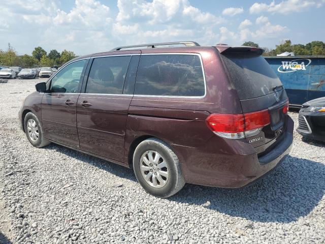 5FNRL38699B409833 - 2009 HONDA ODYSSEY EXL Tünd qırmızı foto 2