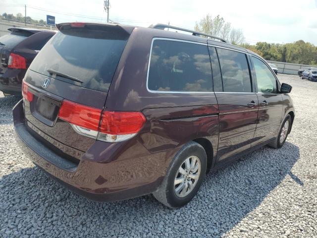 5FNRL38699B409833 - 2009 HONDA ODYSSEY EXL Tünd qırmızı foto 3