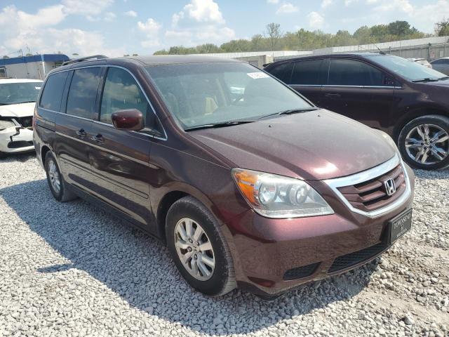 5FNRL38699B409833 - 2009 HONDA ODYSSEY EXL Tünd qırmızı foto 4