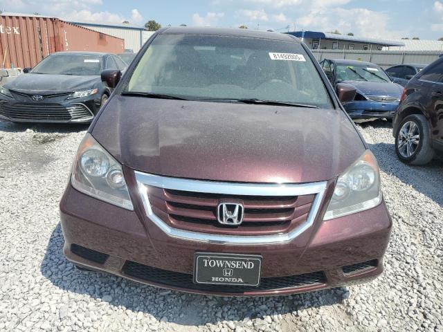 5FNRL38699B409833 - 2009 HONDA ODYSSEY EXL Tünd qırmızı foto 5