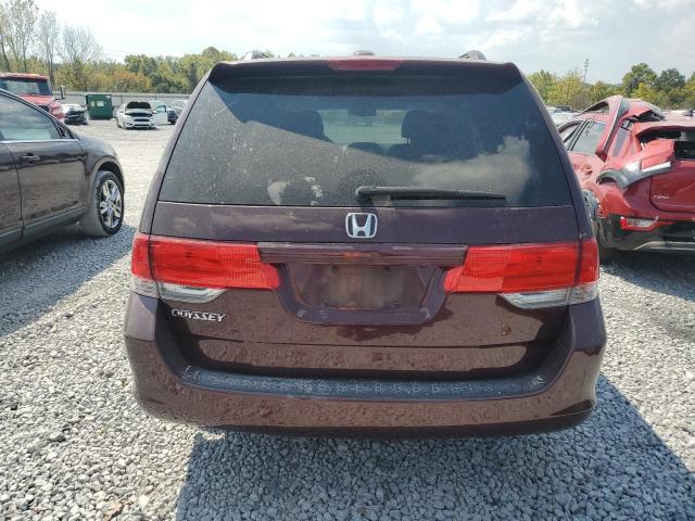 5FNRL38699B409833 - 2009 HONDA ODYSSEY EXL Tünd qırmızı foto 6